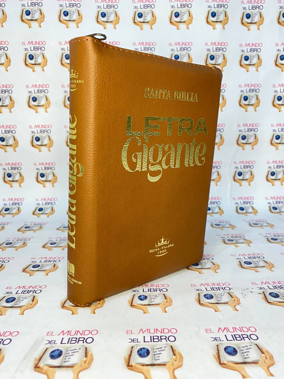 Santa Biblia - Reina Valera