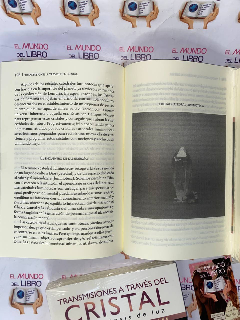 Transmisiones A Través Del Cristal - Katrina Raphaell  