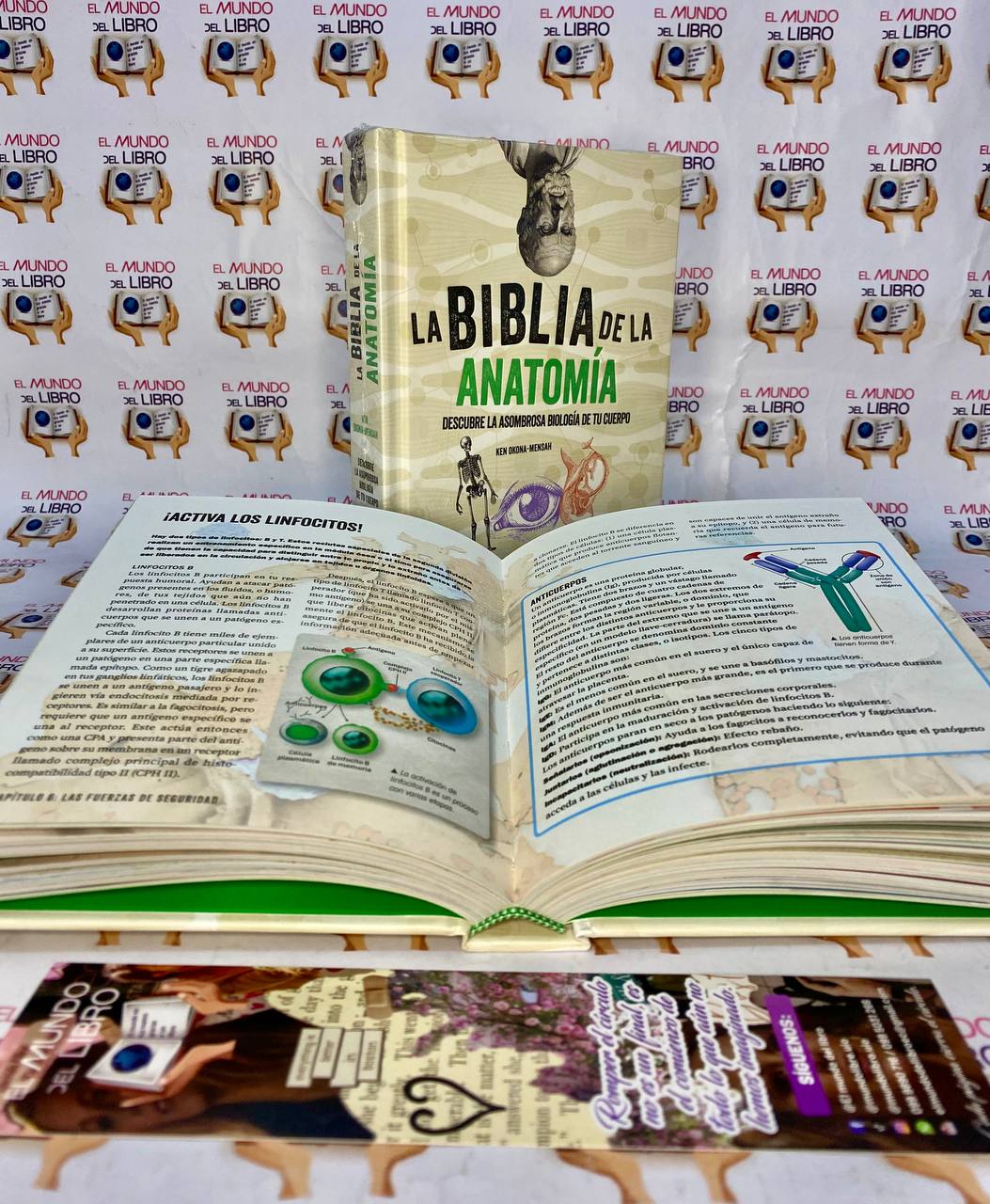 La Biblia De La Anatomía - Ken Okona 
