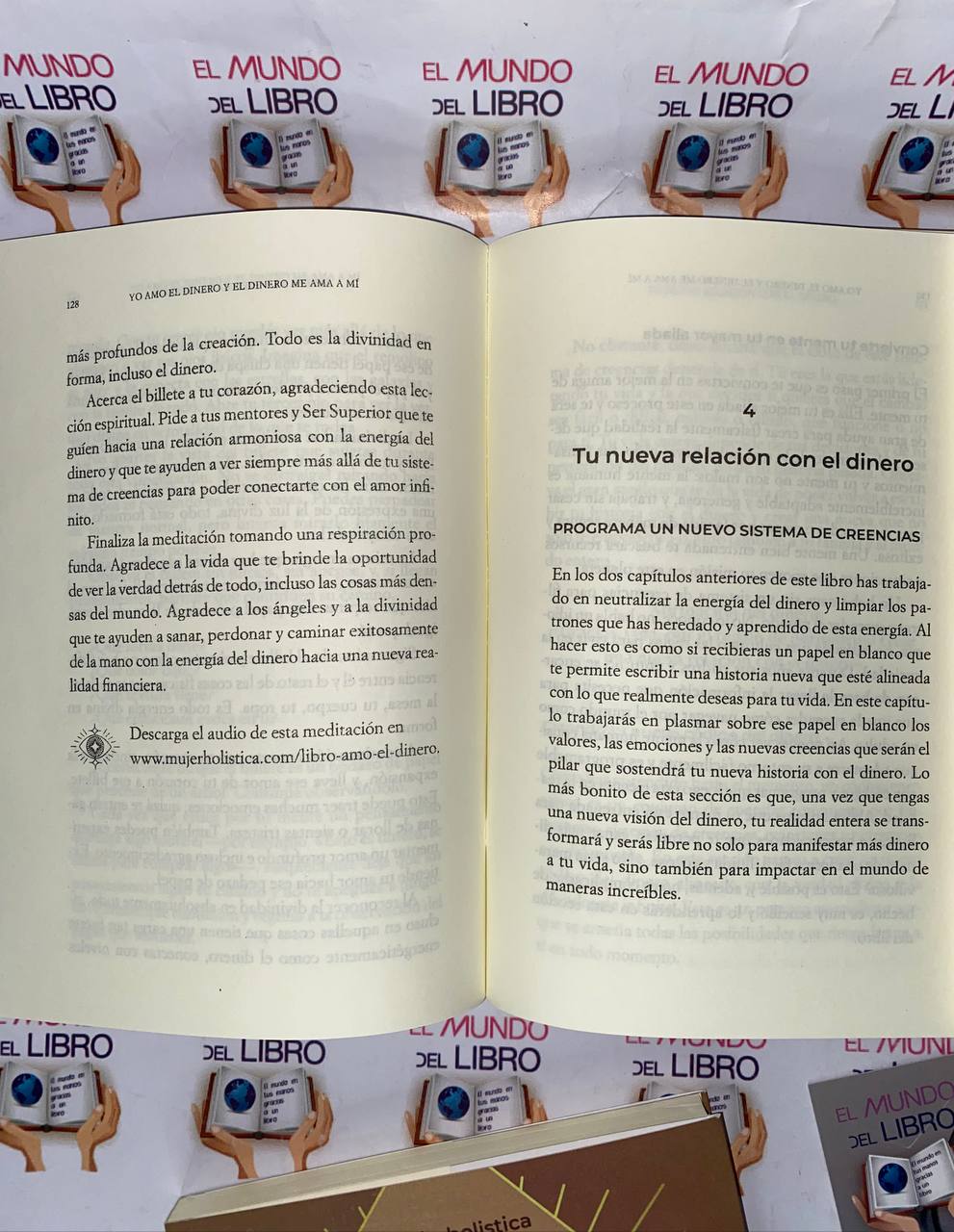 Yo Amo El Dinero Y El Dinero Me Ama A Mí - María José Flaque