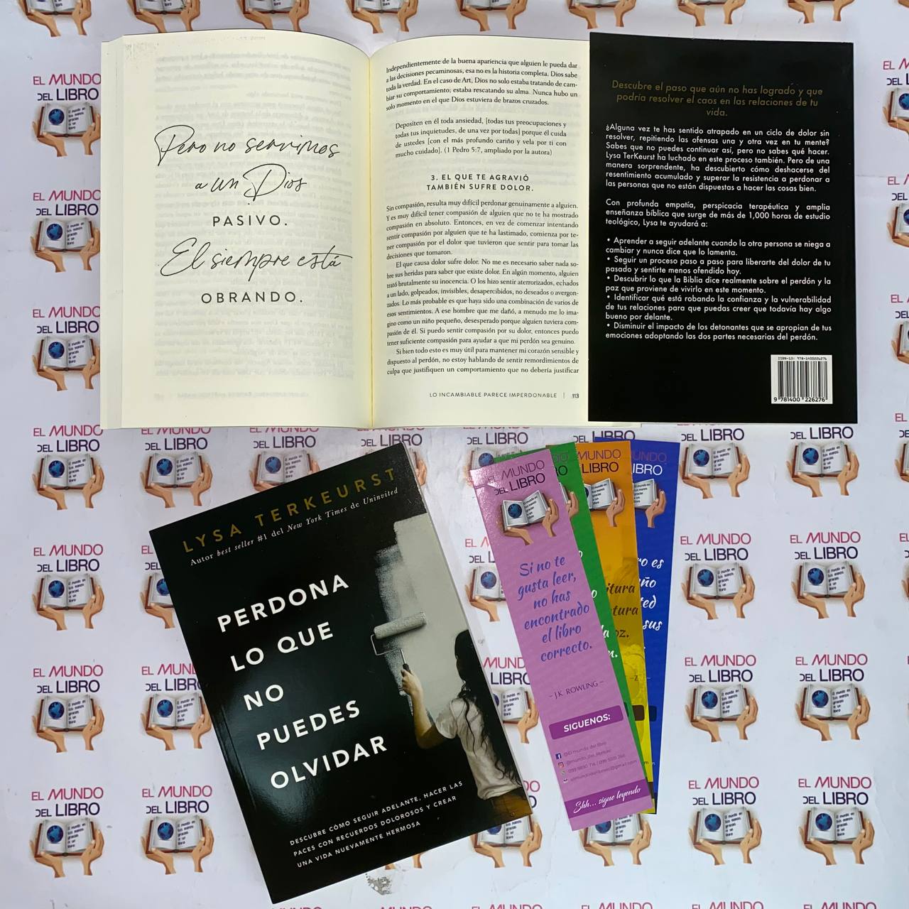 Perdona Lo Que No Puedes Olvidar - Lysa Terkeurst