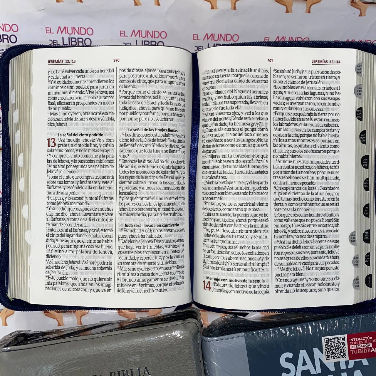   Santa Biblia Reina Valera 1960 - Letra Grande con Índice y Cierre