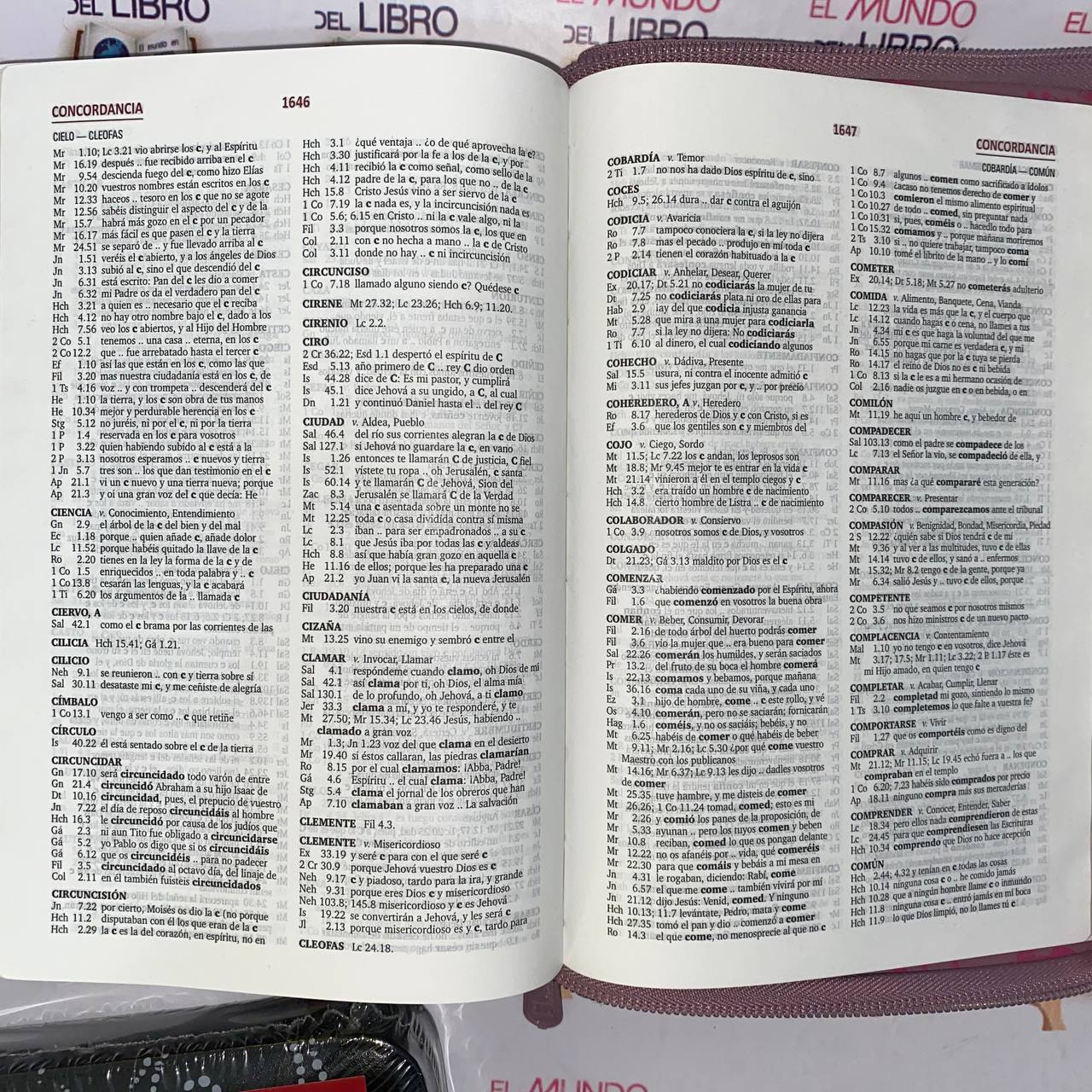 Santa Biblia Reina Valera 1960 - Letra Grande con Índice y Cierre 