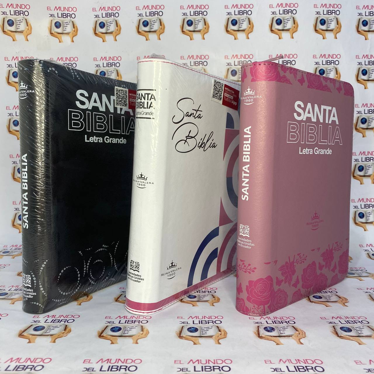 Santa Biblia Reina Valera 1960 - Letra Grande con Índice y Cierre 