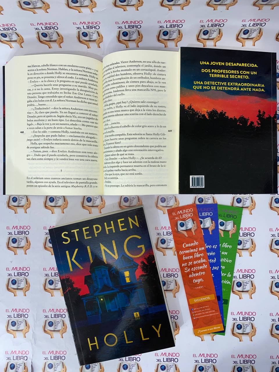 Holly - Stephen King  