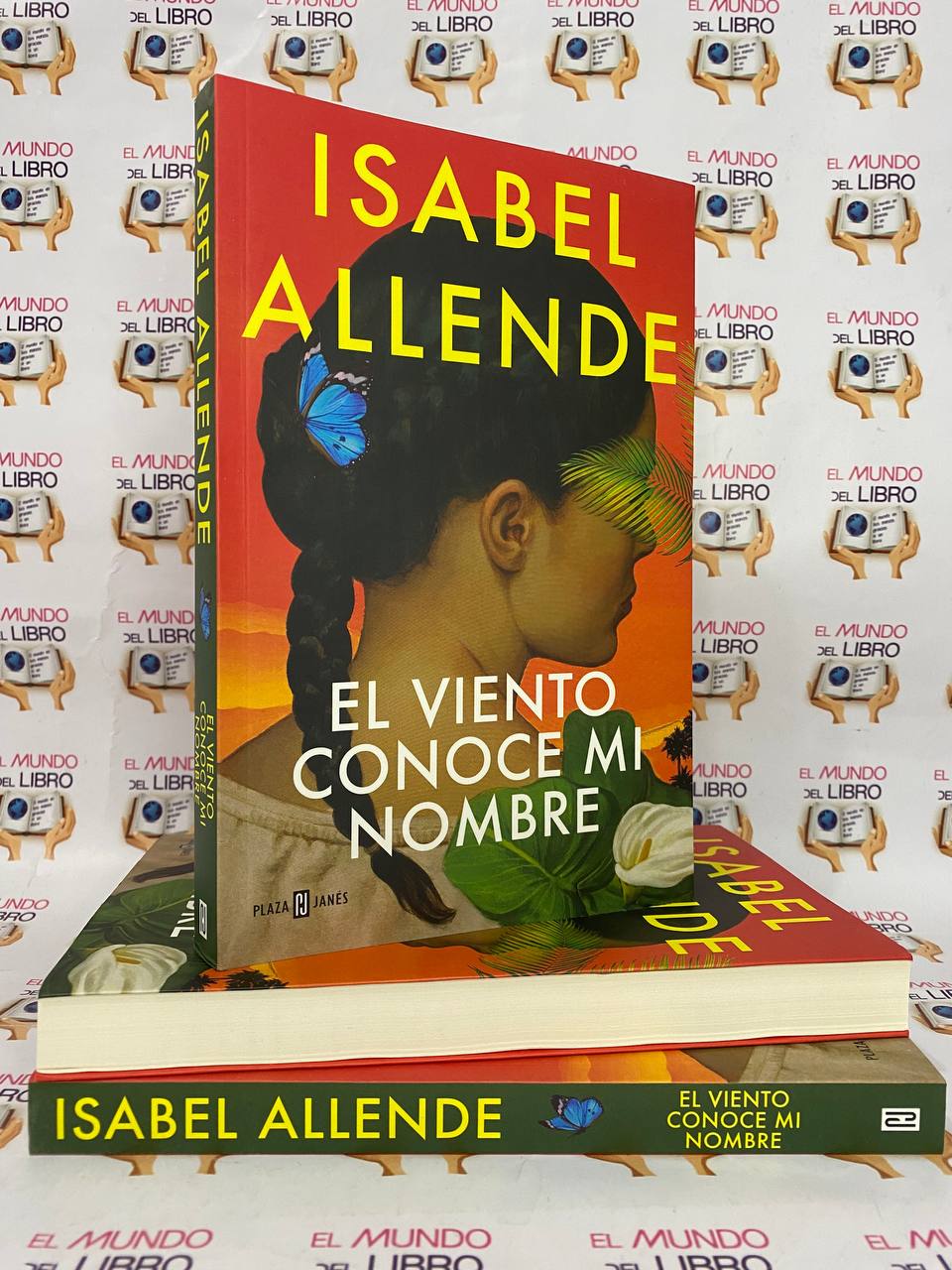 El Viento Conoce mi Nombre - Isabel Allende