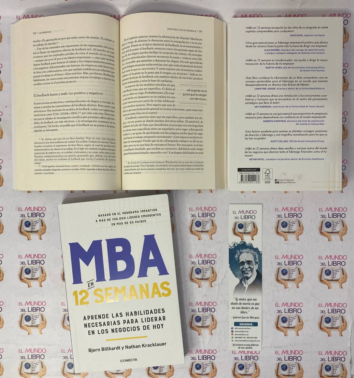 MBA en 12 Semanas - Bjorn Billhardt, Nathan Kracklauer