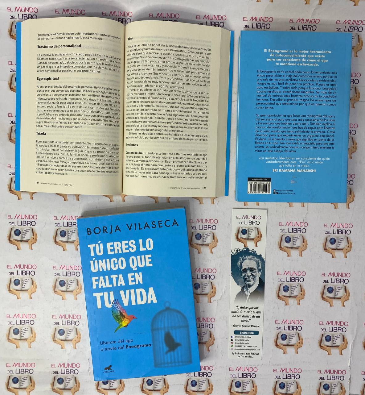 Tú Eres Lo Único que Falta en Tu Vida - Borja Vilaseca