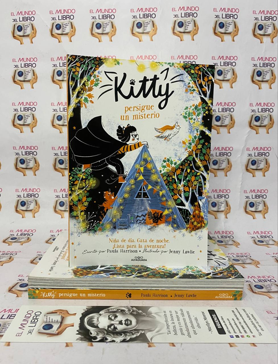 Kitty persigue un misterio - Paula Harrison