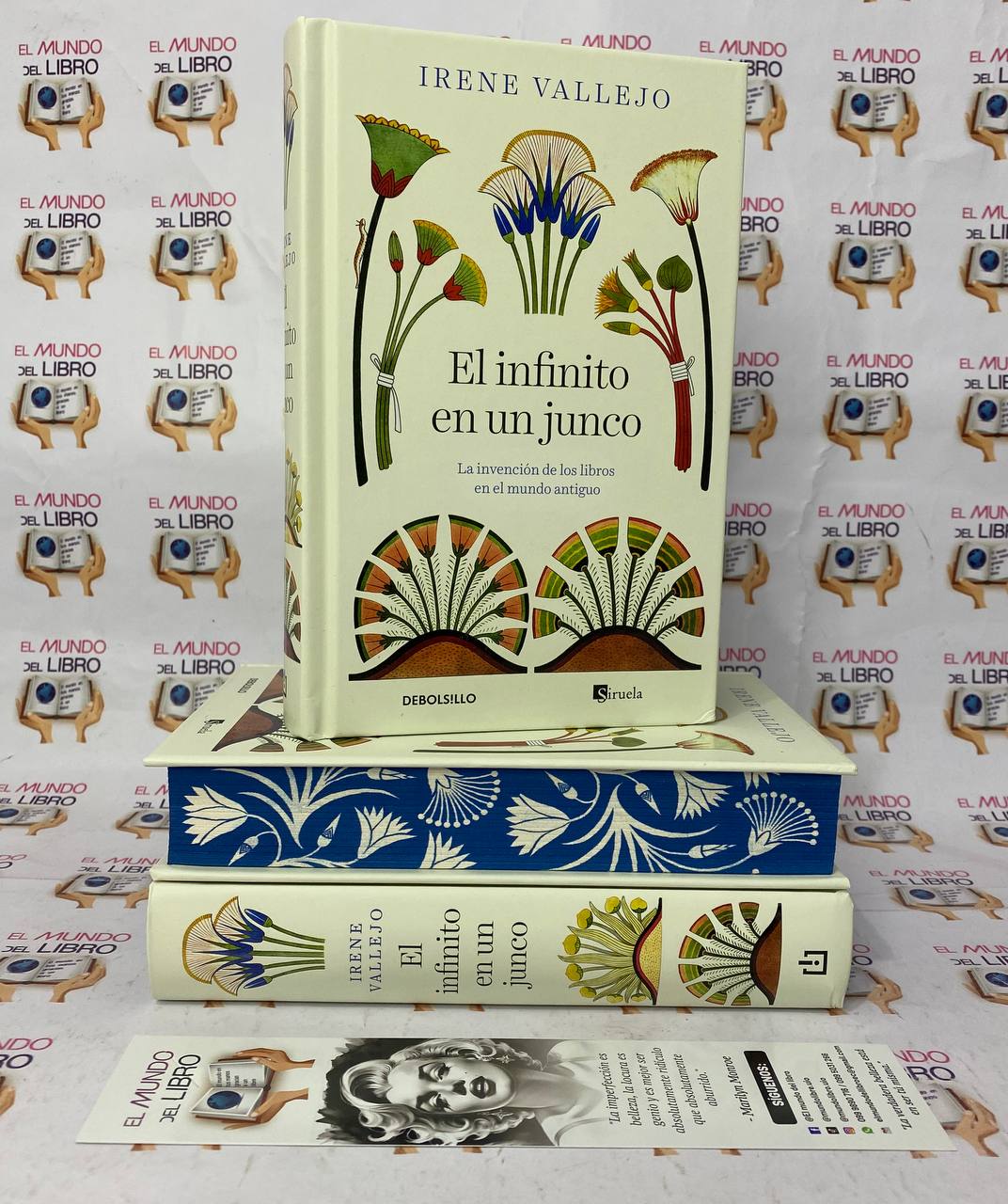 El Infinito en un Junco - Irene Vallejo