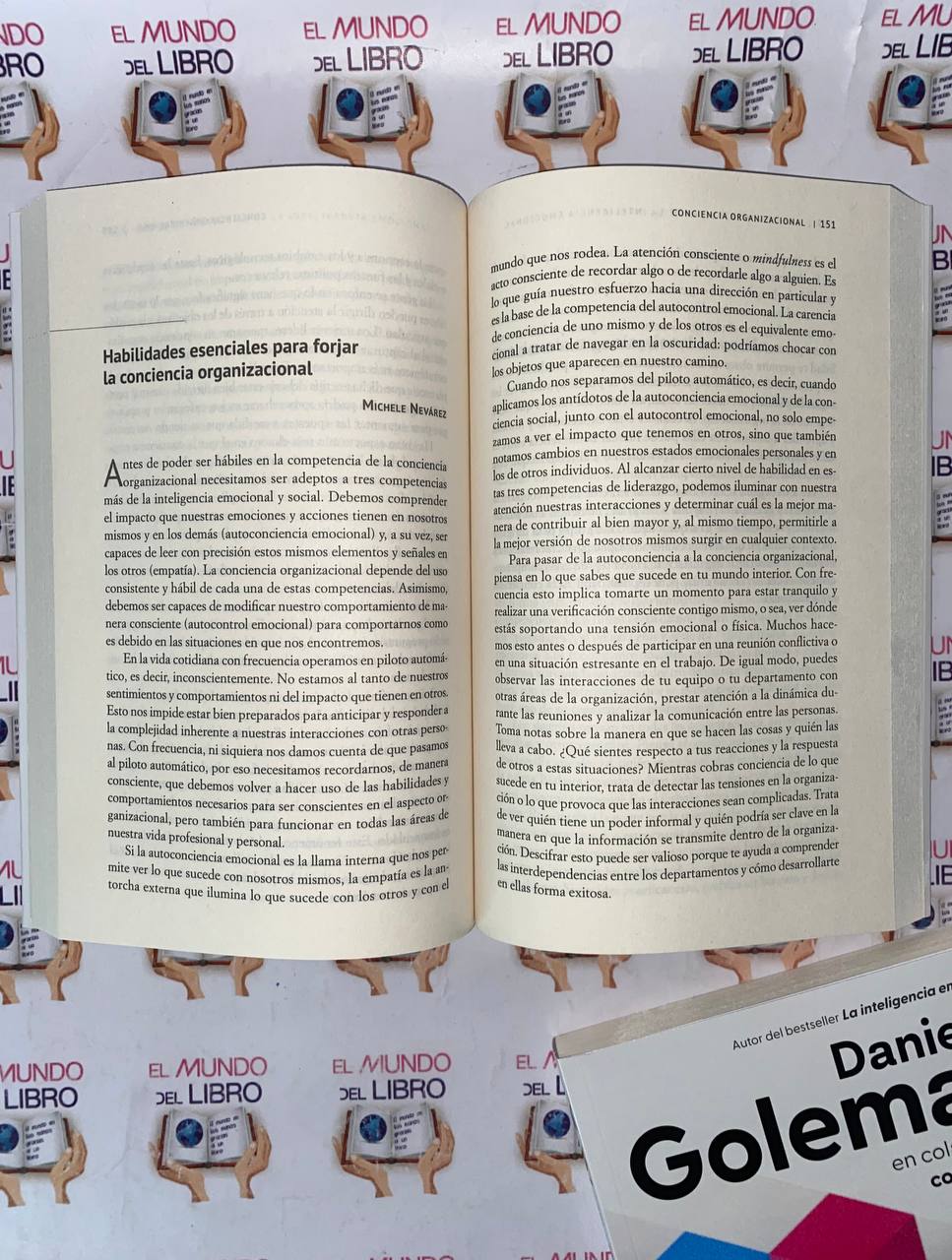Las 12 Competencias De La Inteligencia Emocional - Daniel Goleman