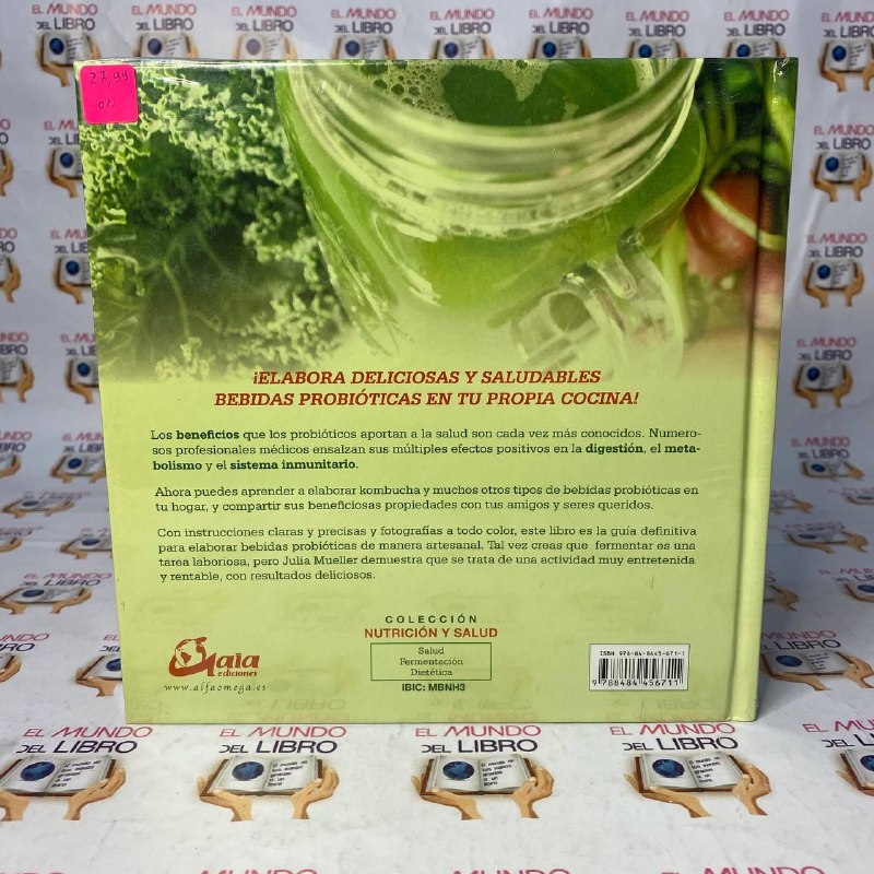Bebidas Probióticas