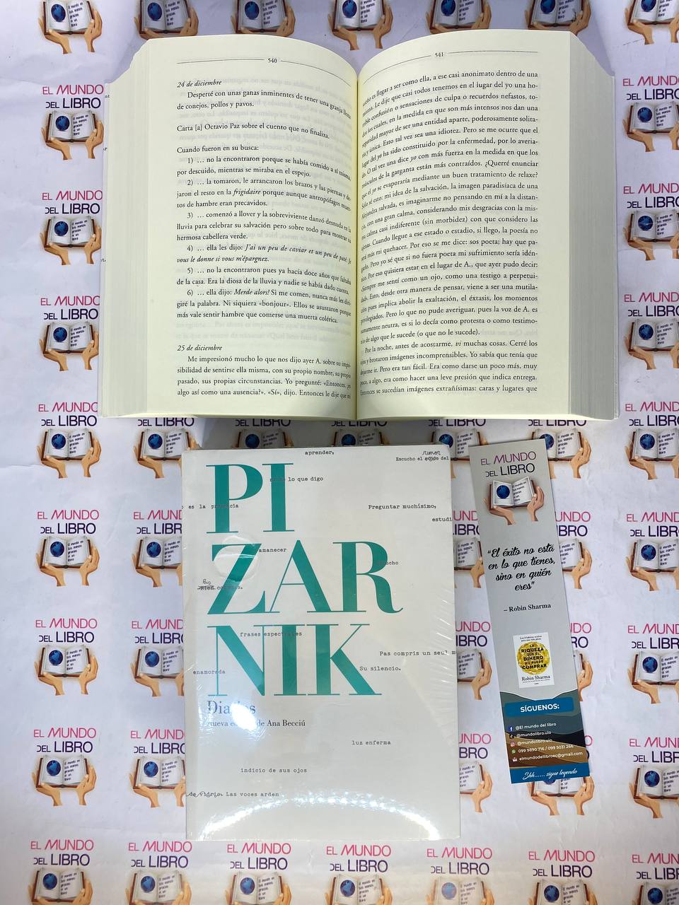 Diarios - Alejandra Pizarnik