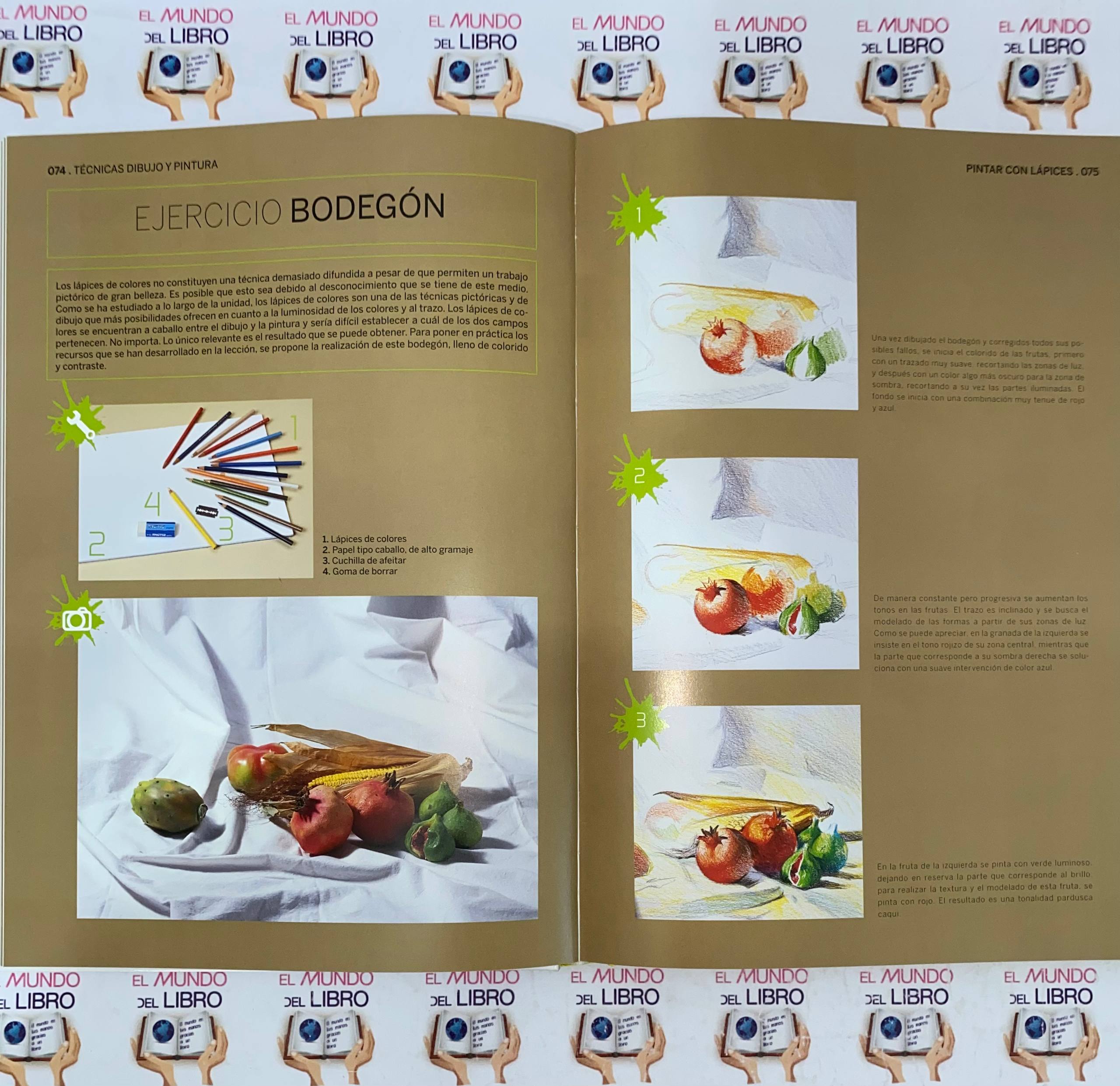 Pack de libros de dibujo y pintura