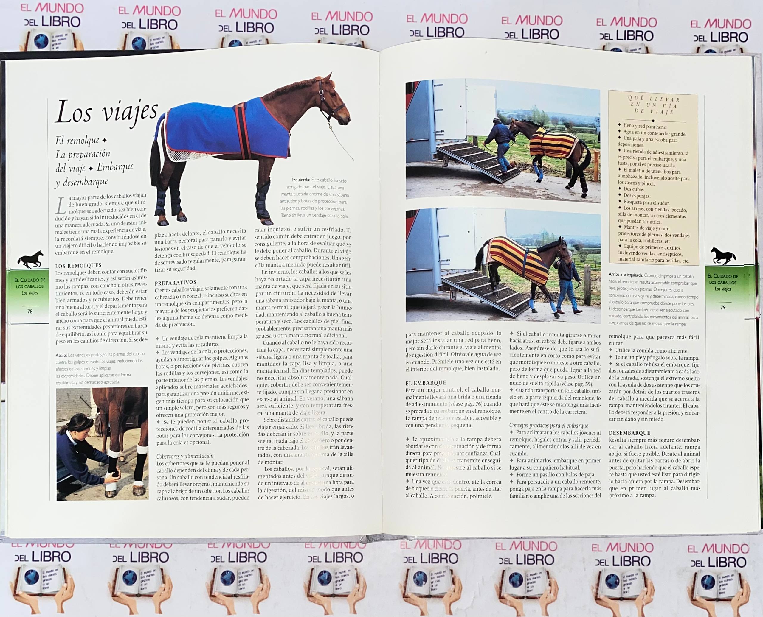 Caballos Razas Y Orígenes  - Enciclopedia Definitiva Del Caballo