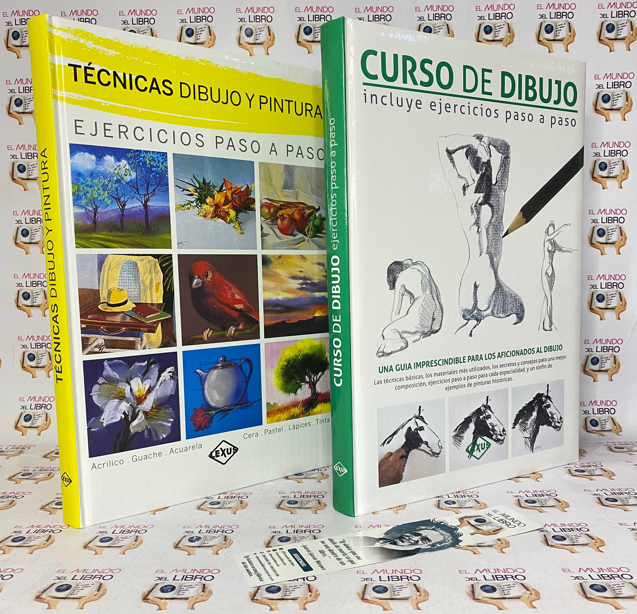 Pack de libros de dibujo y pintura