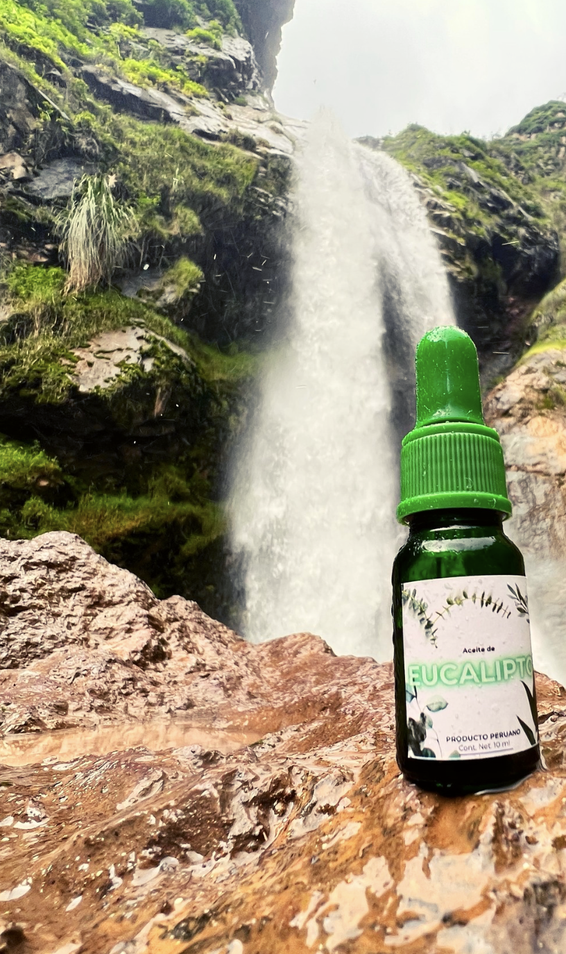 Aceite Esencial de Eucalipto “Andes Puro” 🌿 – 100% Natural, Directo desde Cusco