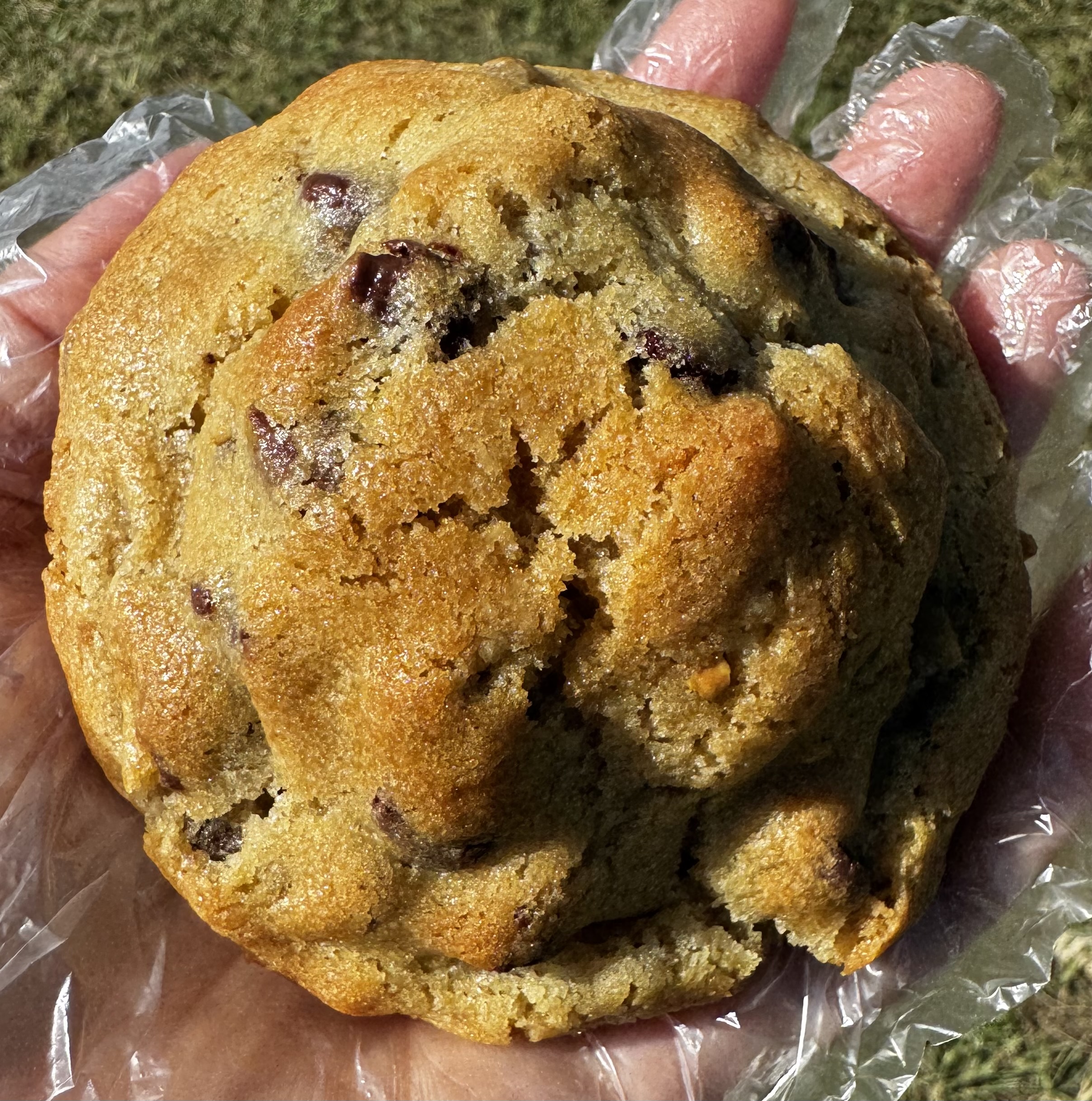 Dubai Pistachio Gold