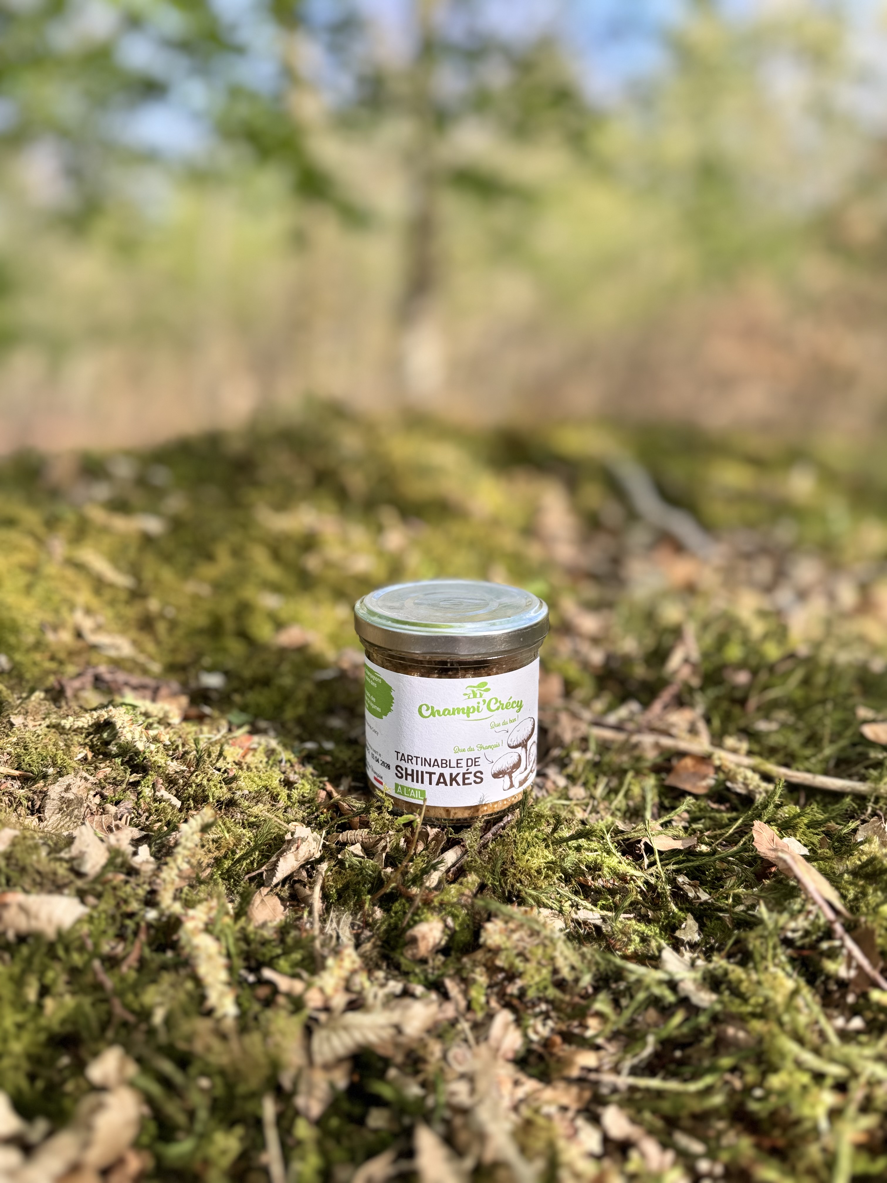  Tartinable de Shiitakés à l'Ail