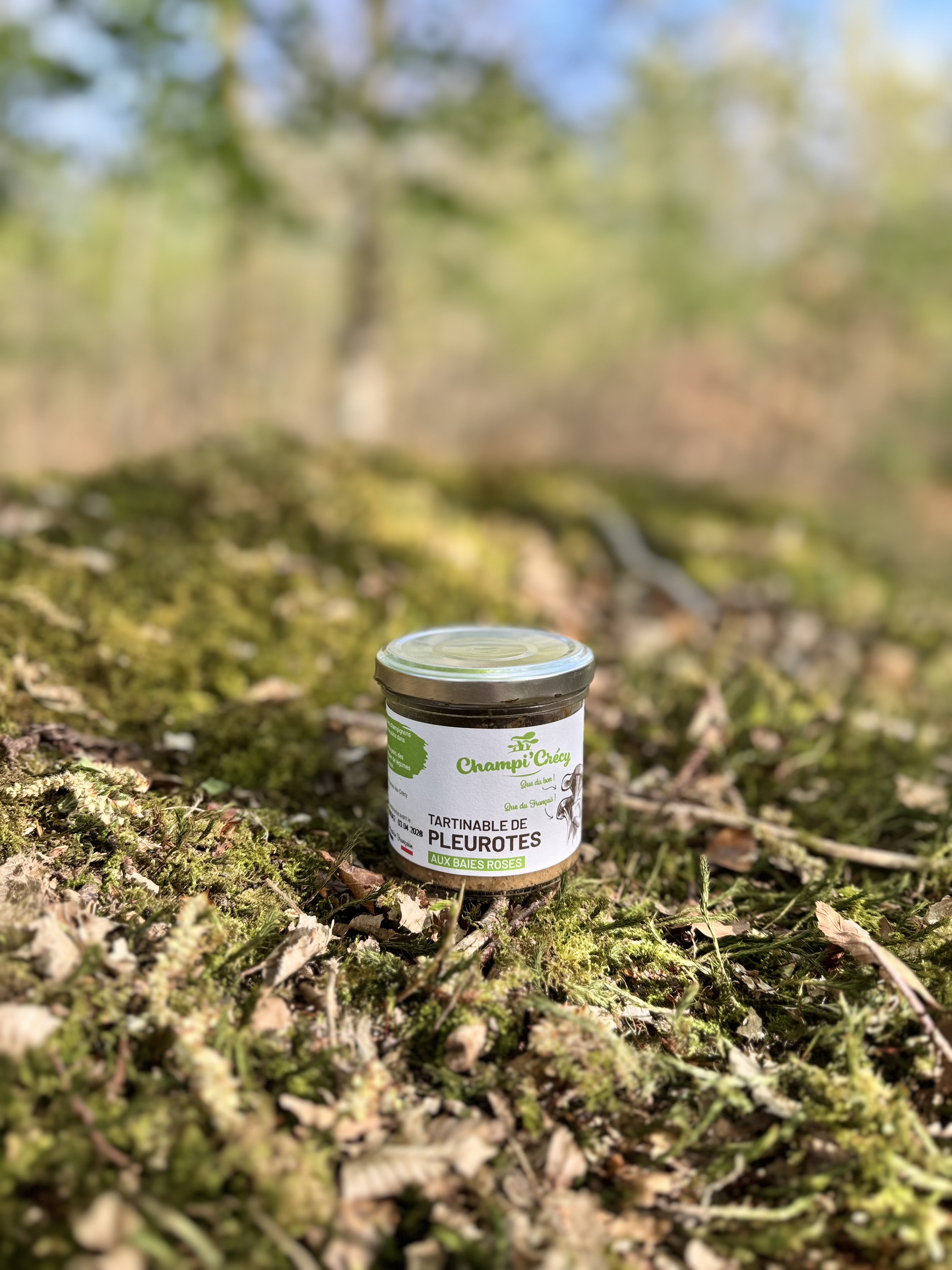 Tartinable de Pleurotes aux Baies Roses