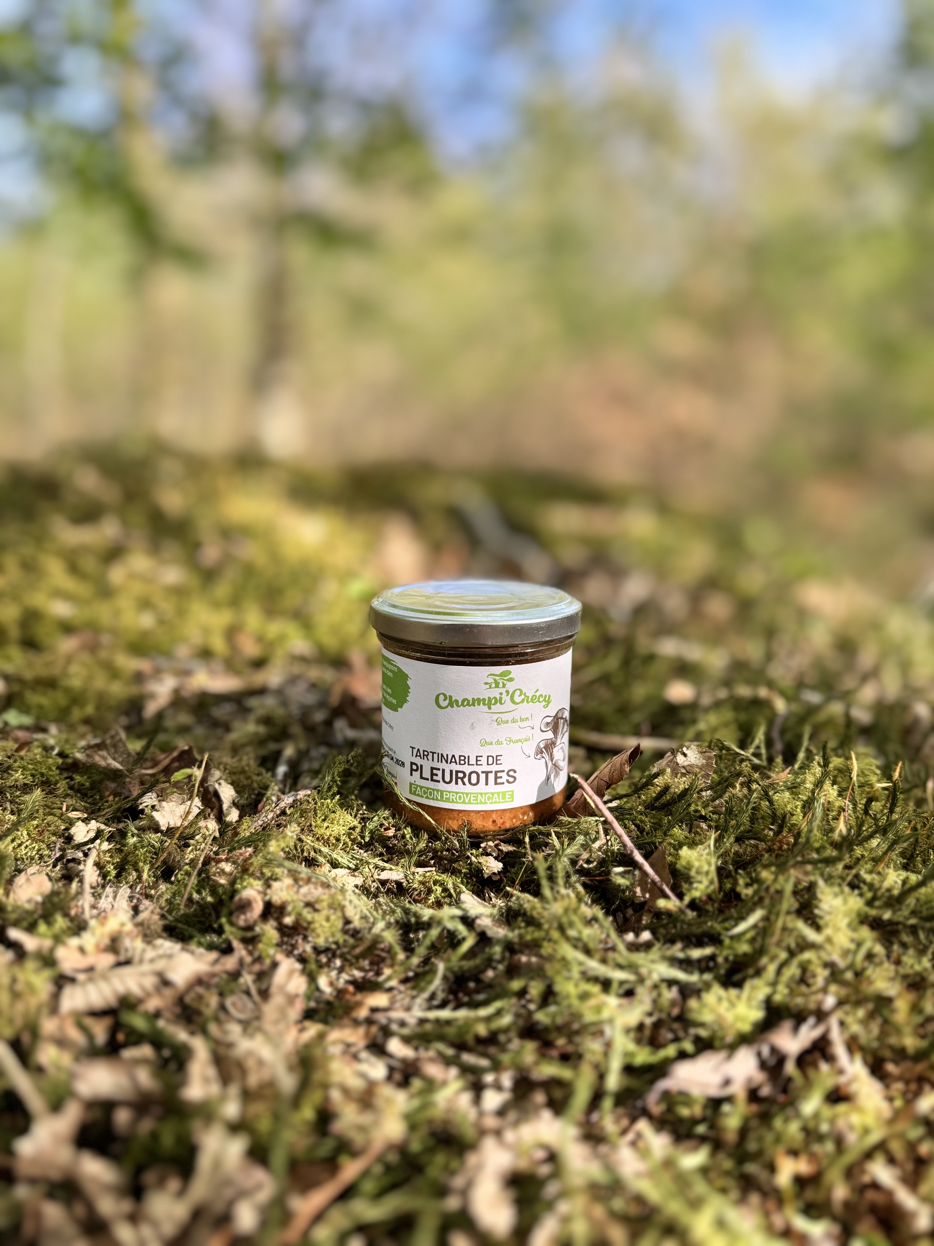 Tartinable de Pleurotes façon Provençale 