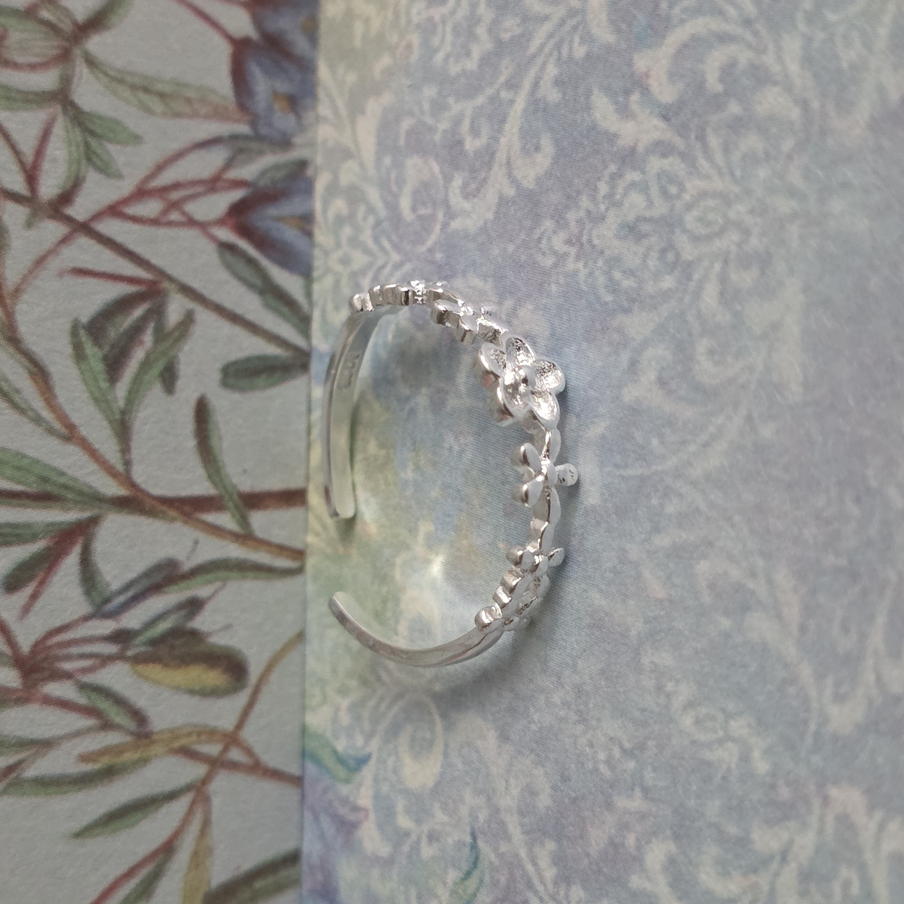 Anillo Jardín Secreto