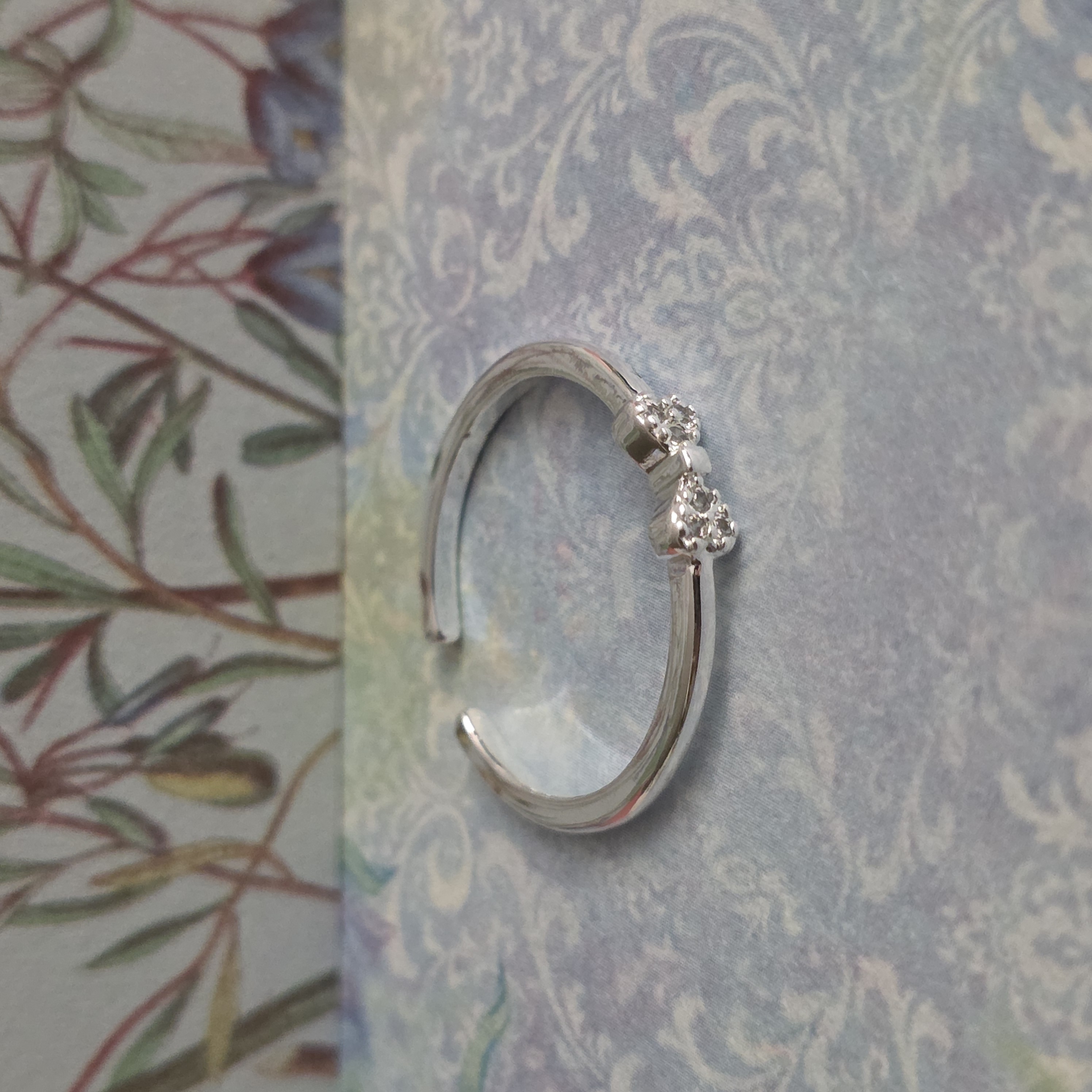 Anillo Lazo Eterno