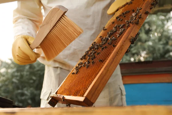 Bee Brush