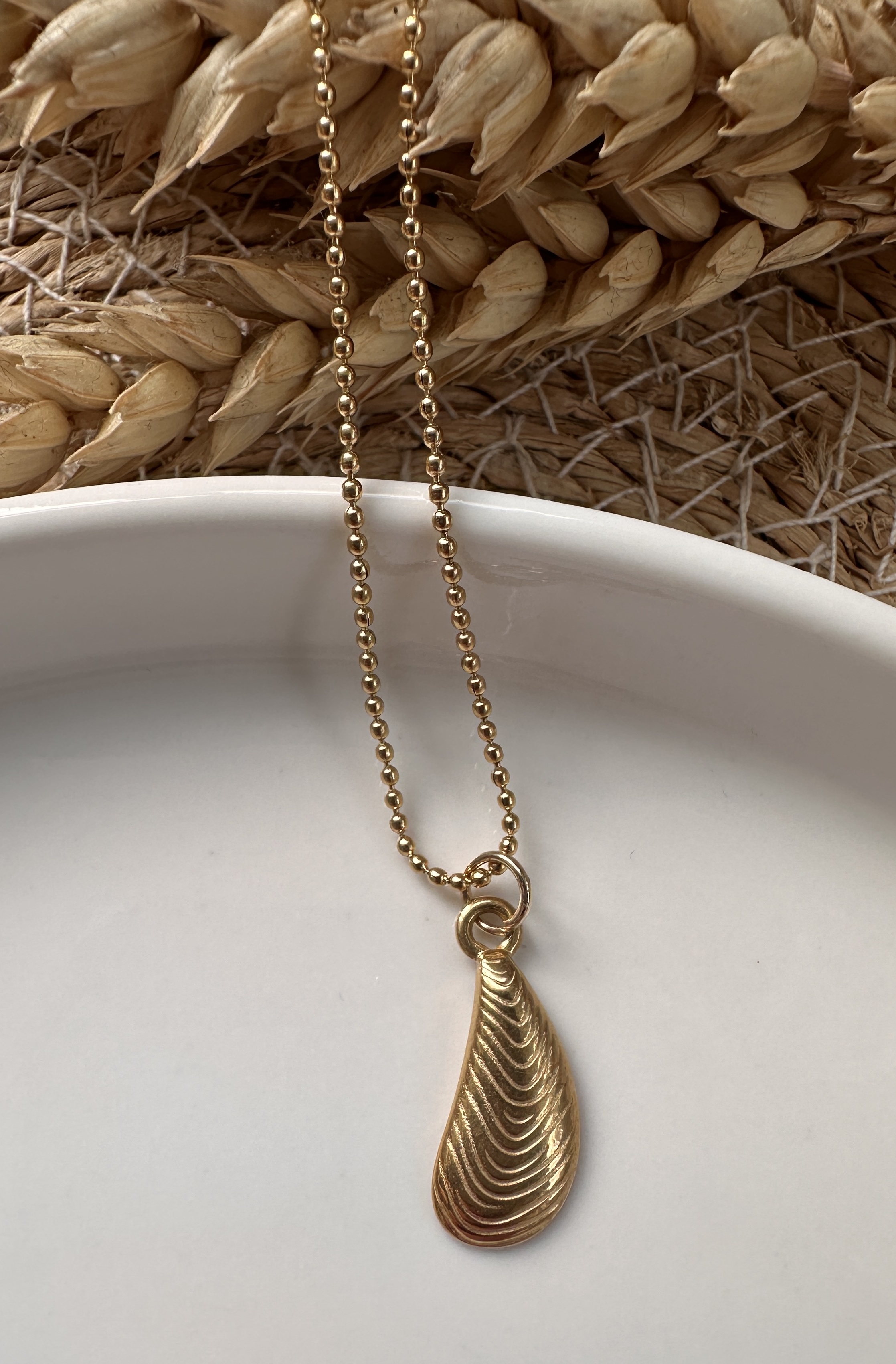 collier MUSSEL SHELL