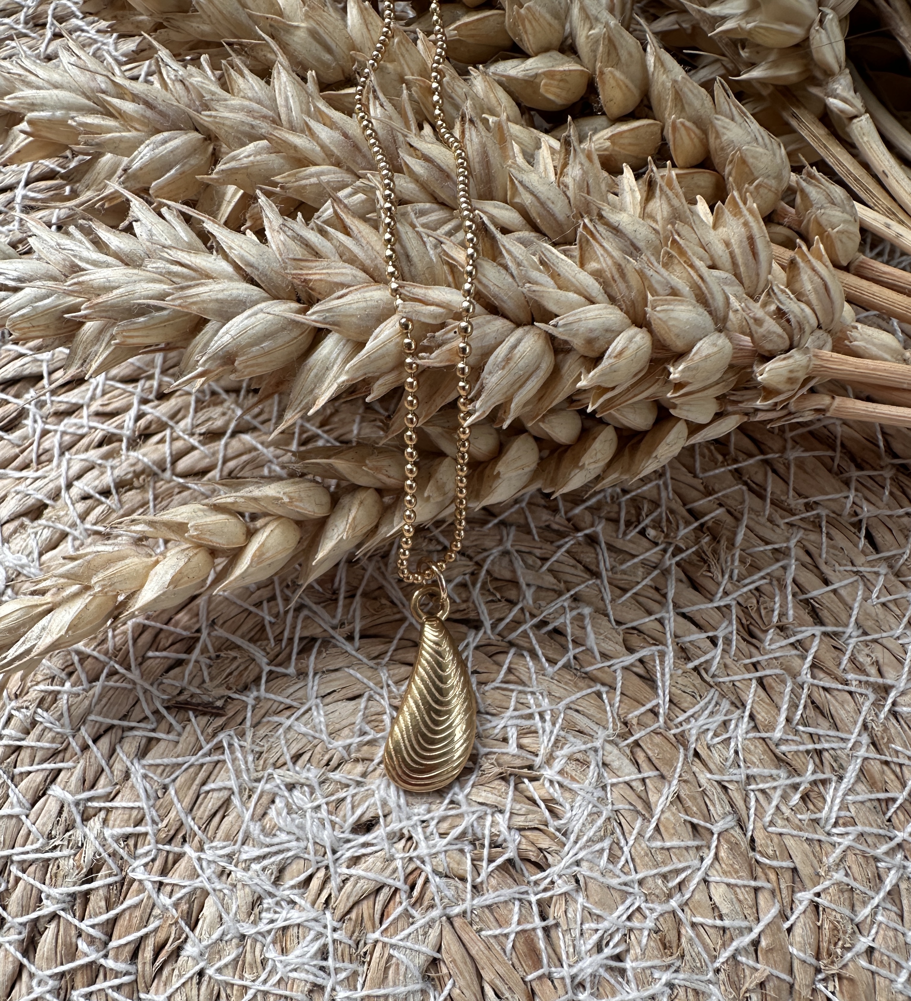 collier MUSSEL SHELL