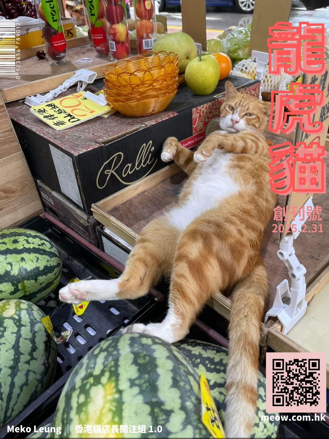 龍虎貓月刊｜創刊號