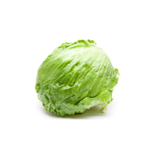 Fresh Iceberg Lettuce