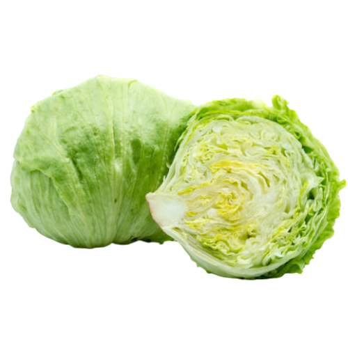 Fresh Iceberg Lettuce