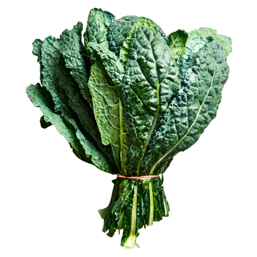 Kale Tuscane