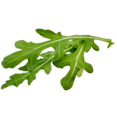 Italian Arugula