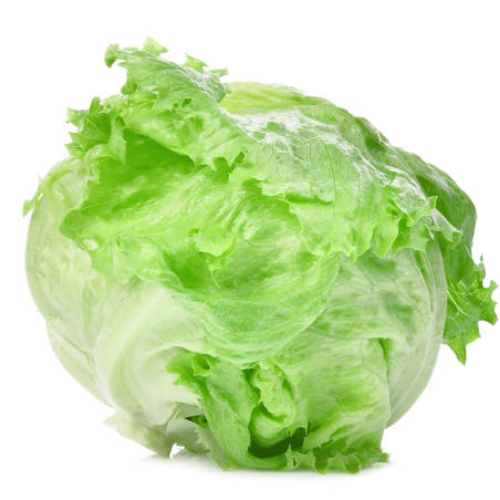Fresh Iceberg Lettuce