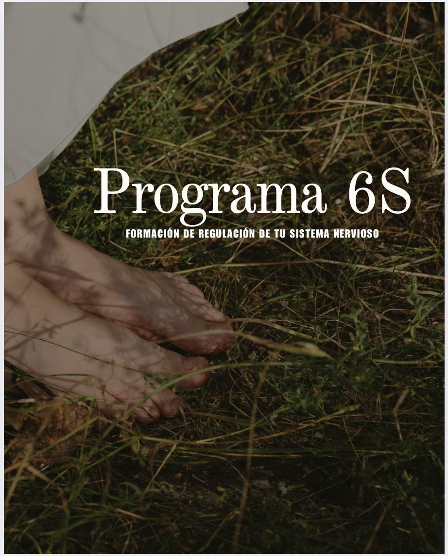 PROGRAMA 6S ON LINE ENTRENANDO TU REGULACIÓN.