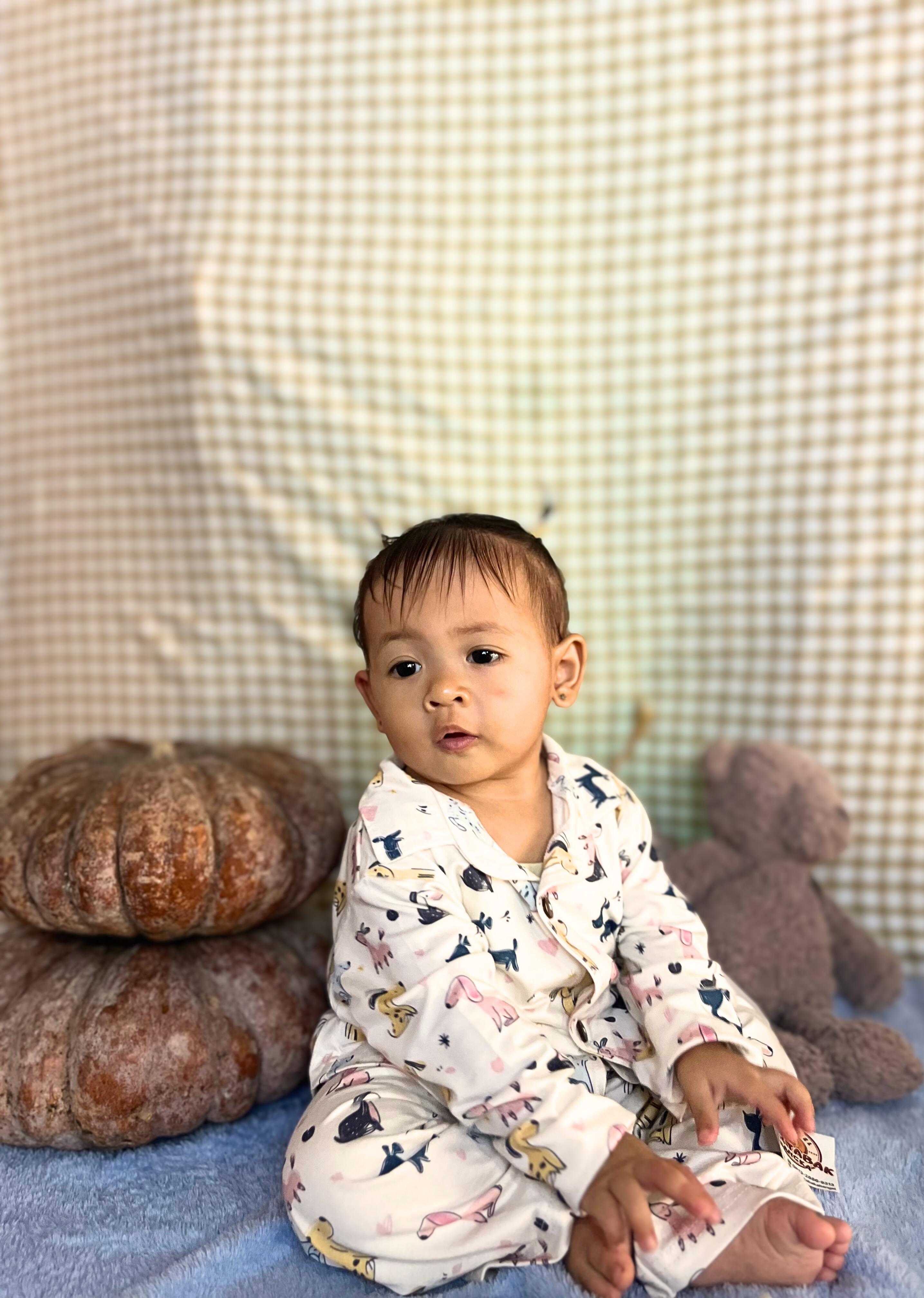 PIG A BOO | PAJAMAS—LENZING™ ECOVERO™ Dog 