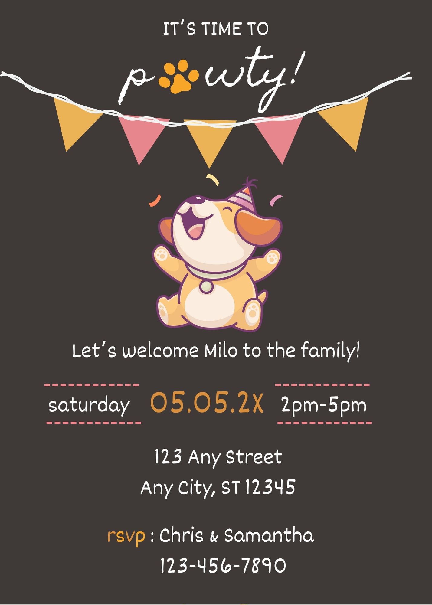 It's Time To Pawty! New Pet Party Invite - 03