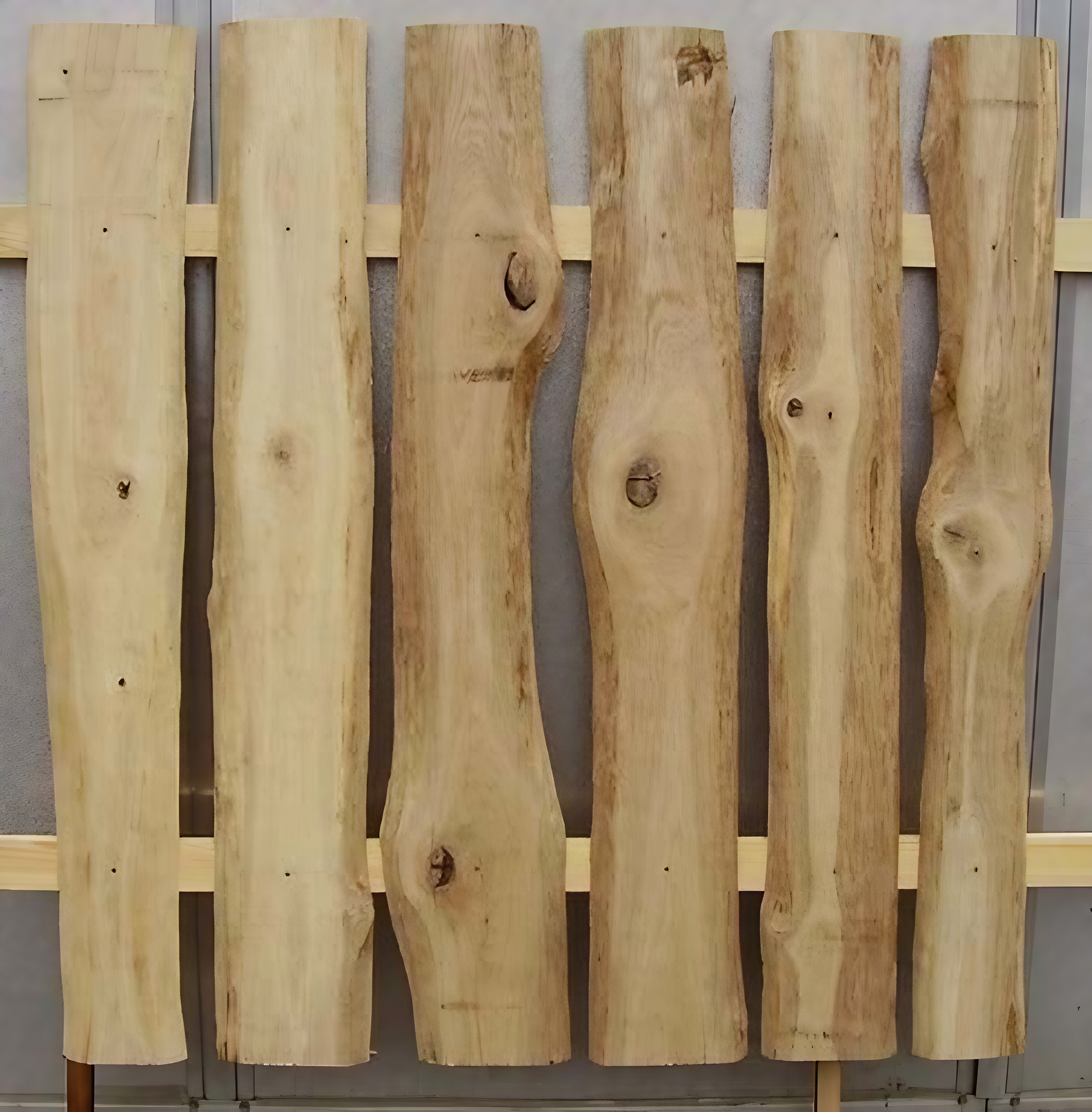 Sichtschutz mit Naturbaumkante