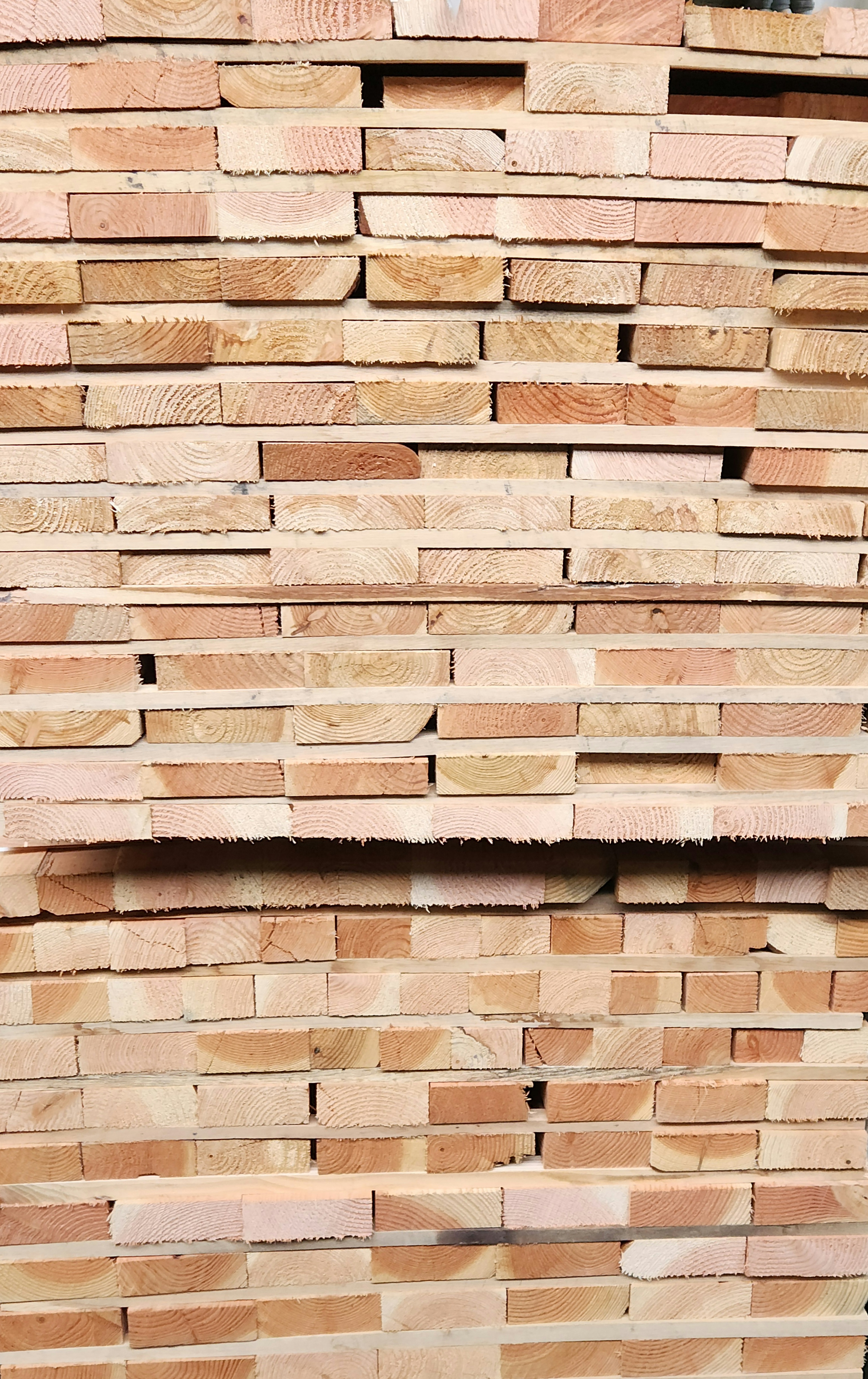 Unterkonstruktion aus Douglasie