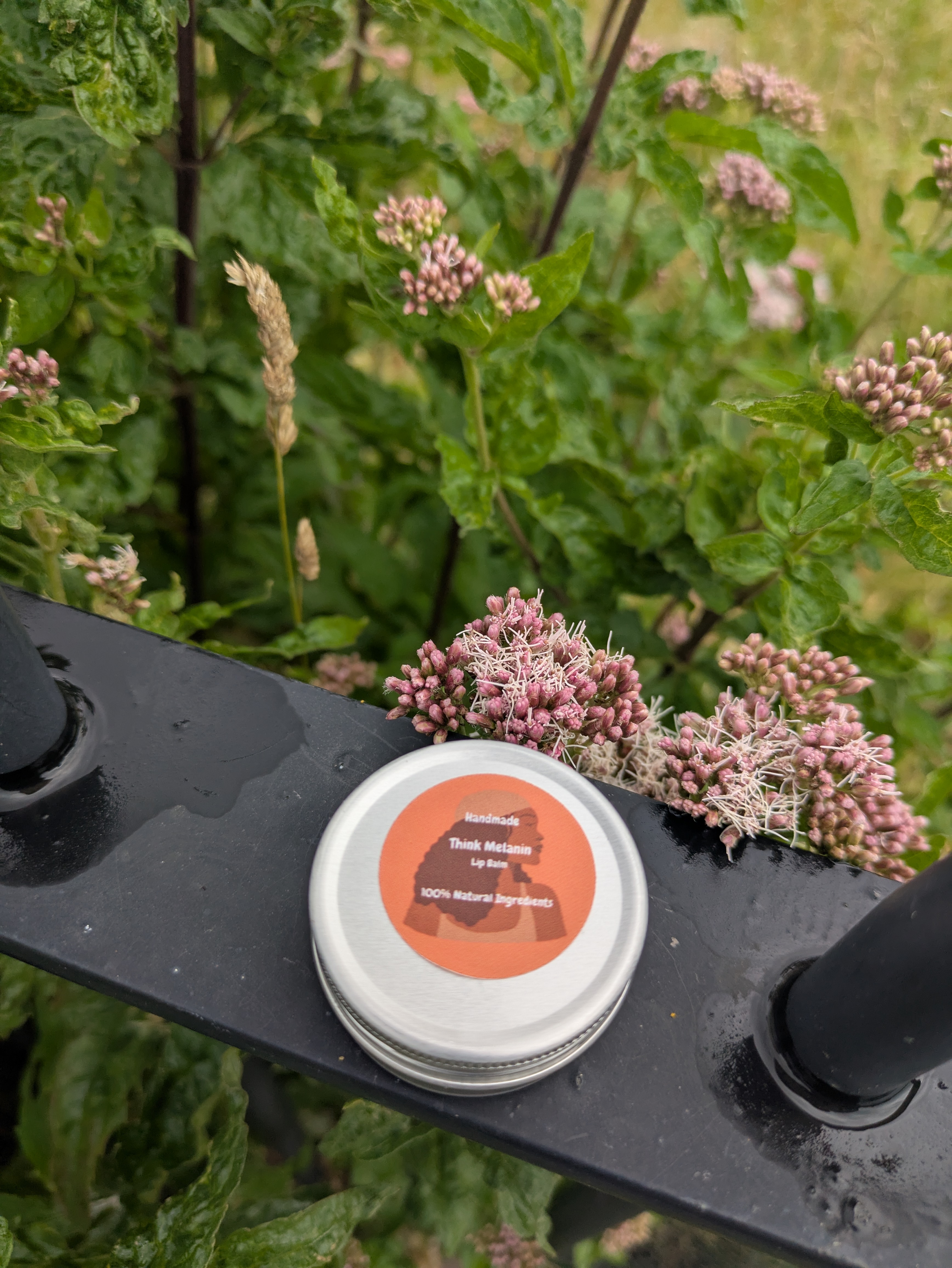 Citrus Olive wax Vegan Lip balm 