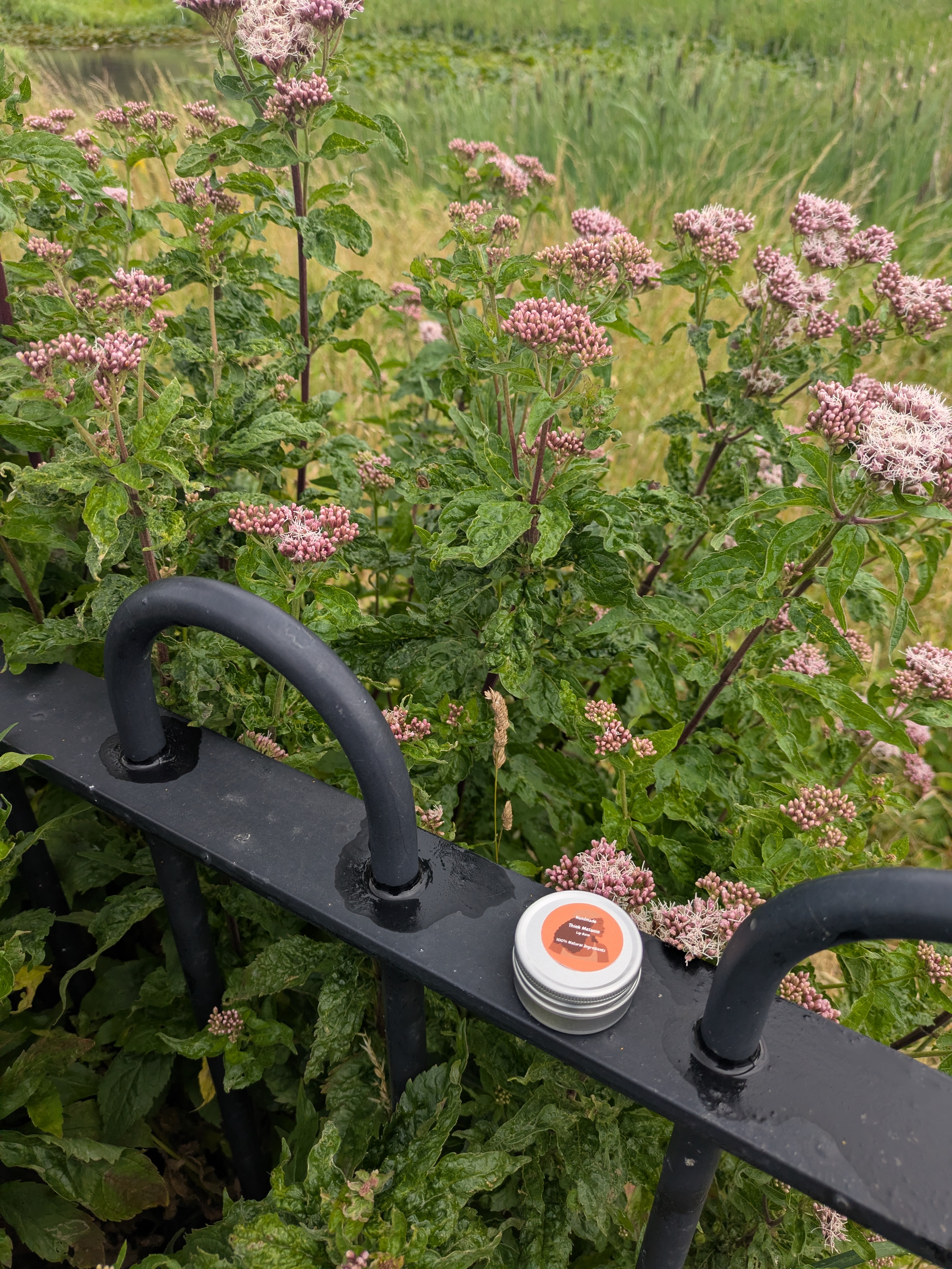 Citrus Olive wax Vegan Lip balm 