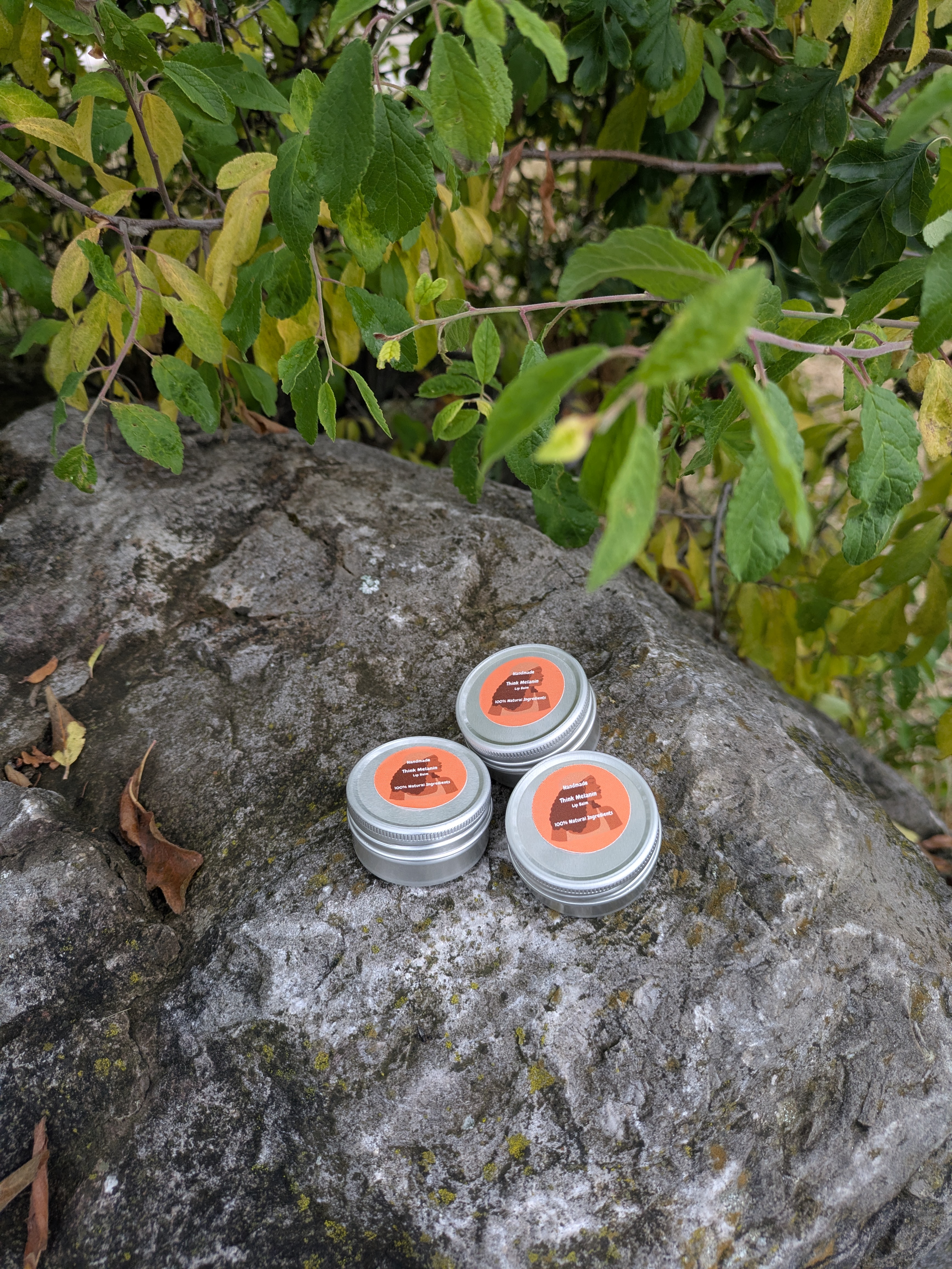 Citrus Olive wax Vegan Lip balm 