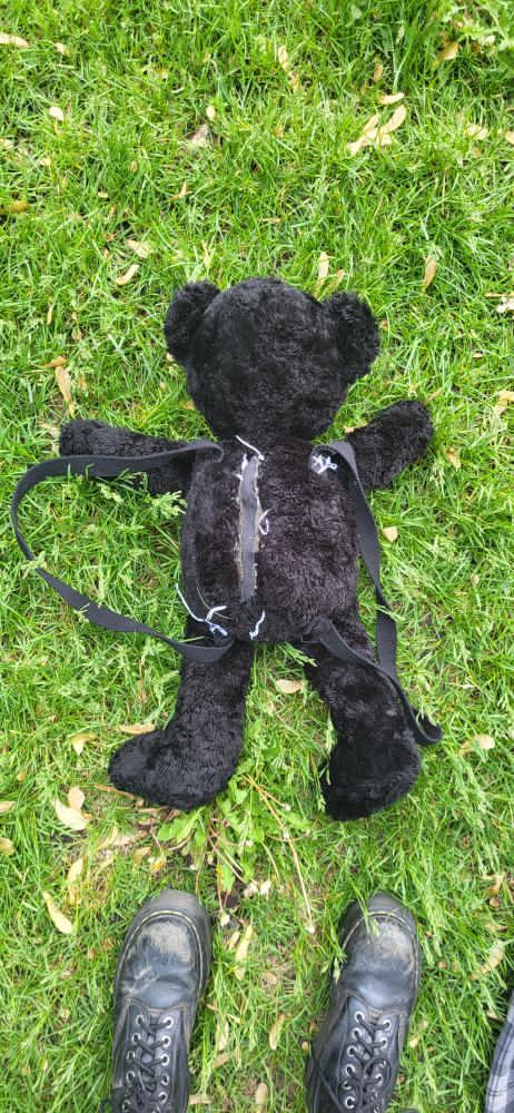 Plush Black Teddy Bear