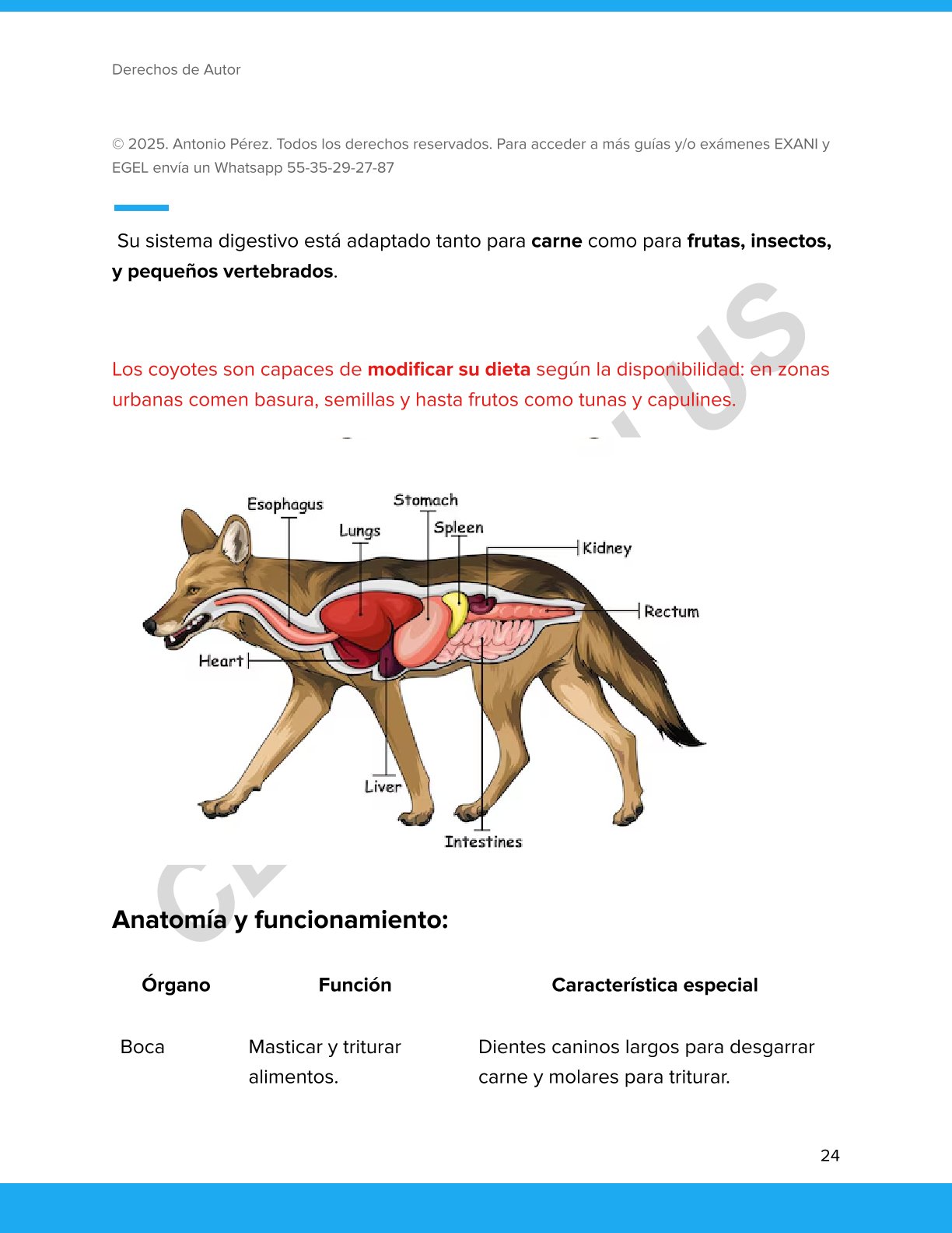 Guía  Biología EGEL Plus Bio 