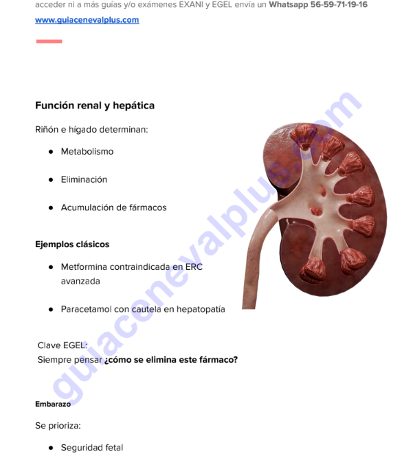 Guía Premium EGEL Medicina + EXAMEN REAL 