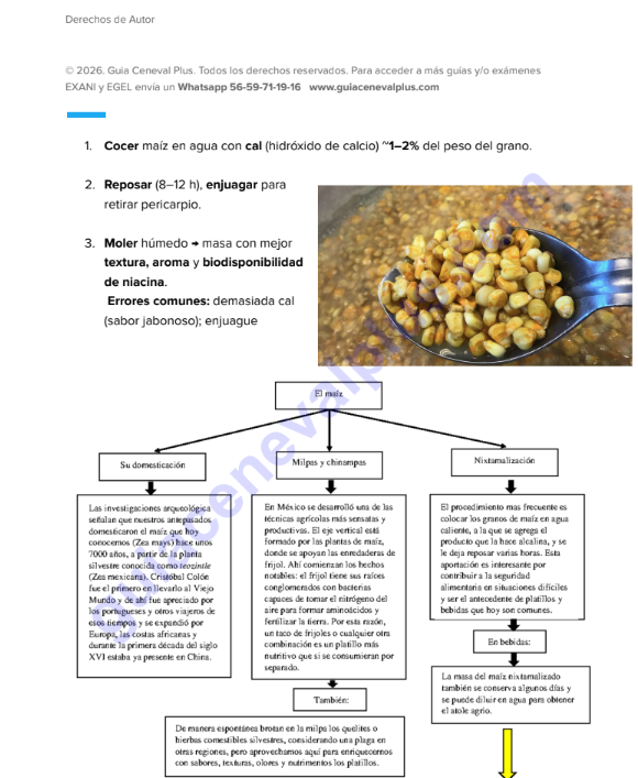 Guía Premium EGEL Lic. Gastronomía 2026 + EXAMEN REAL 
