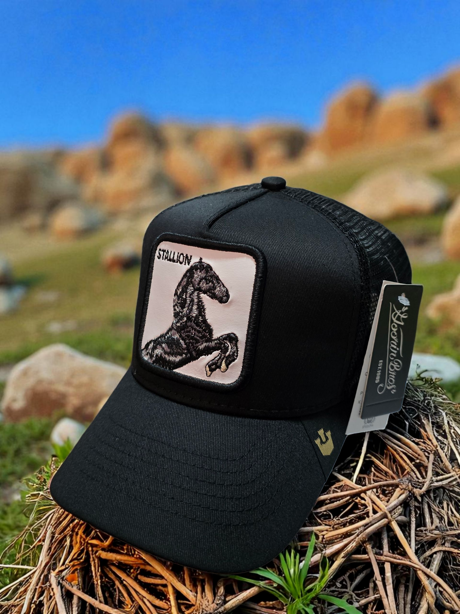 Gorra negra Stallion