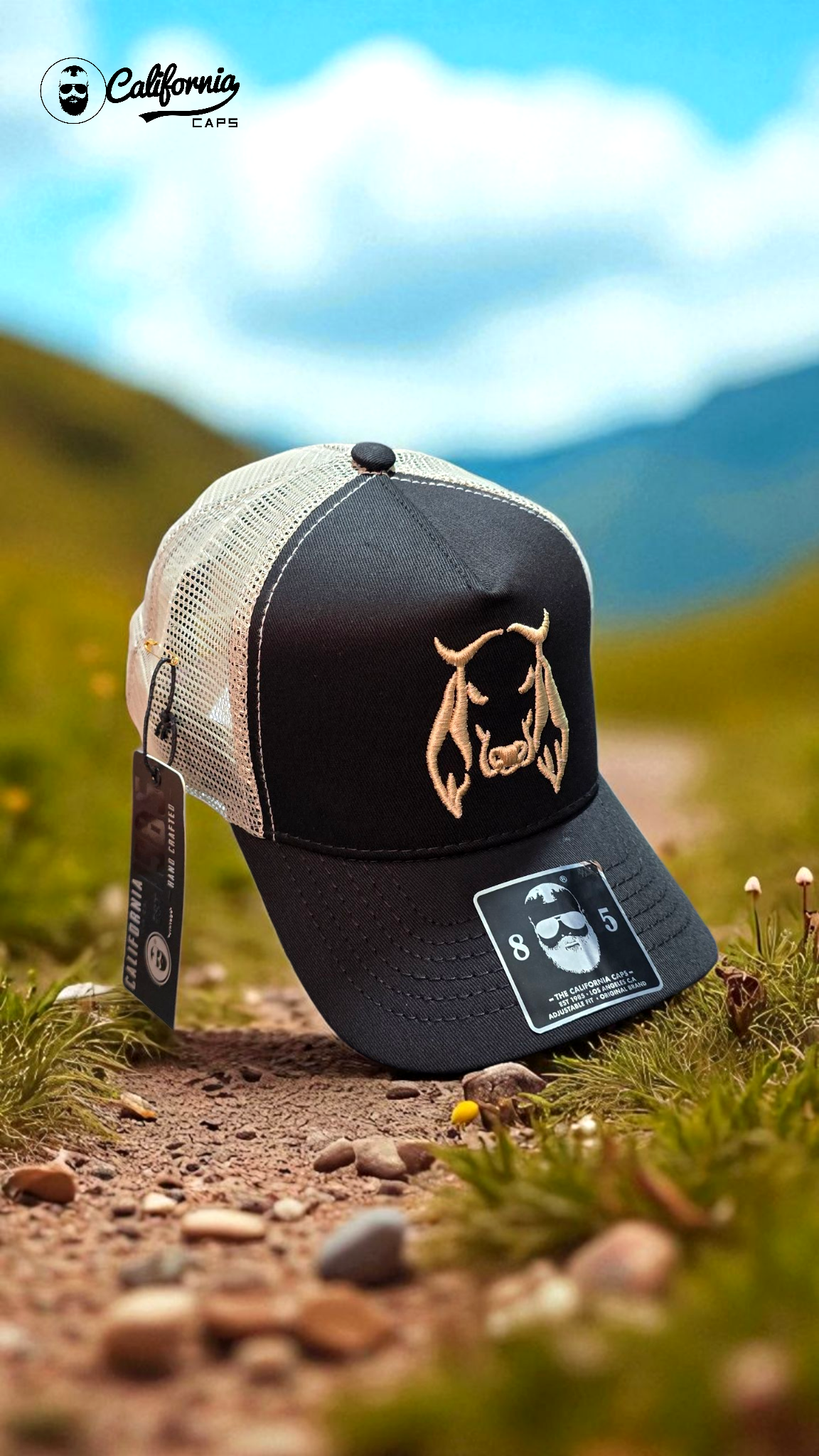 Gorra California Caps